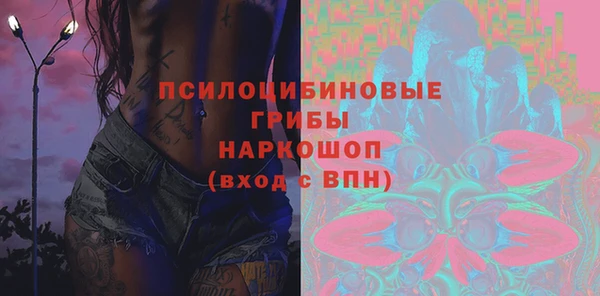 дживик Алексин
